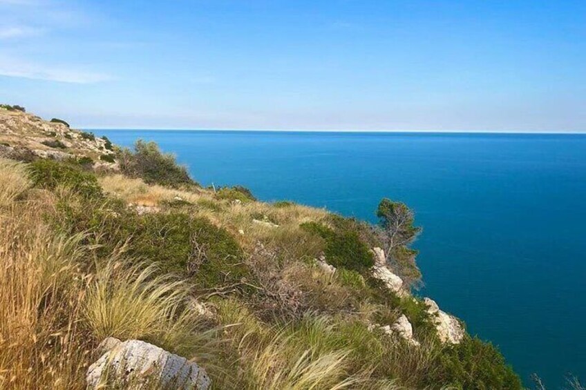 Small Group Half Day Tour of POLIGNANO a MARE and MONOPOLI 