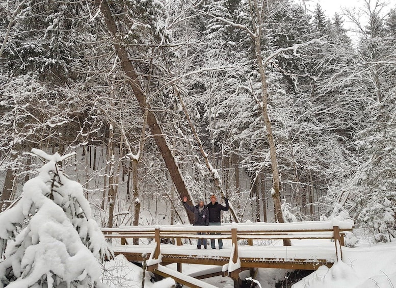 Picture 15 for Activity Discover Best of Sigulda and Gauja National Park In One Day