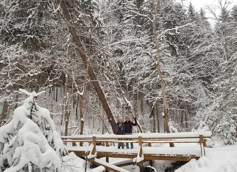 Picture 15 for Activity Discover Best of Sigulda and Gauja National Park In One Day