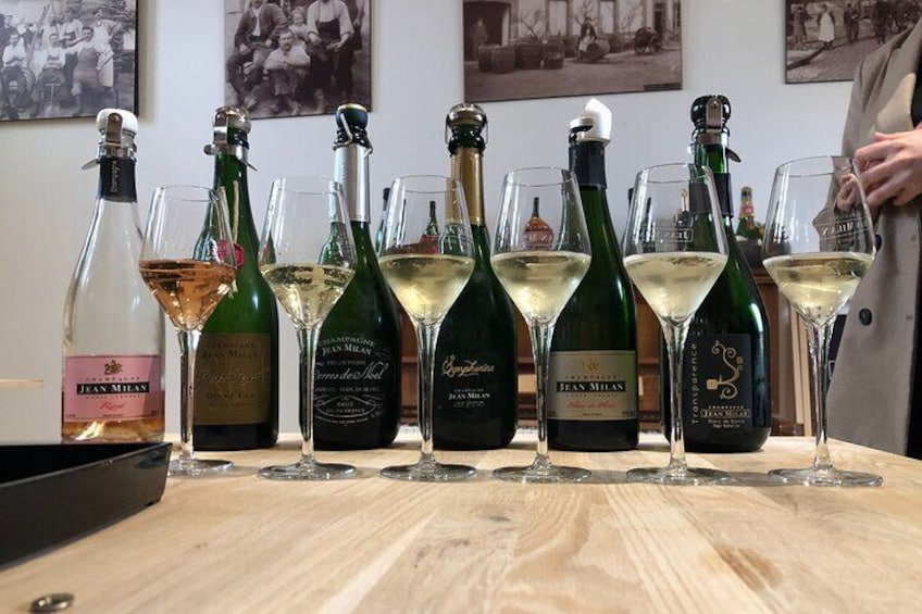 Gold Champagne Experience from Reims (Private tour)
