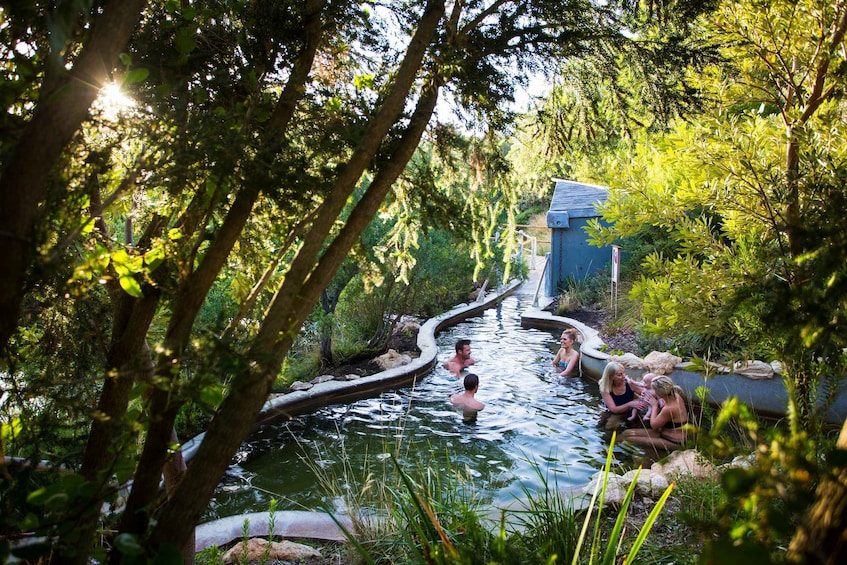 Picture 2 for Activity Mornington Peninsula: SUP, Hike, & Hot Springs Trip w/ Lunch