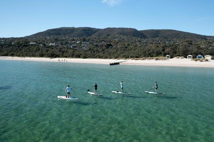 Mornington schiereiland: SUP, Wandeling & Hot Springs tocht met lunch