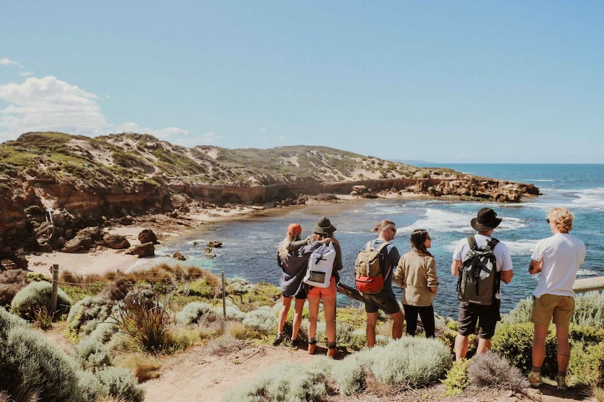 Picture 1 for Activity Mornington Peninsula: SUP, Hike, & Hot Springs Trip w/ Lunch