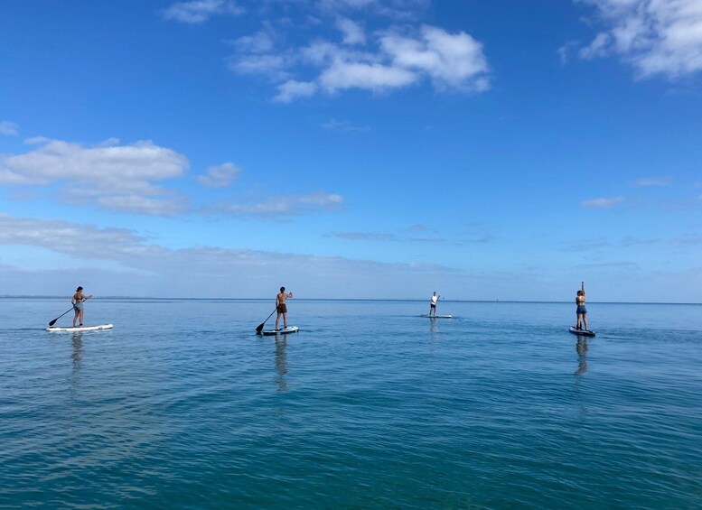 Picture 7 for Activity Mornington Peninsula: SUP, Hike, & Hot Springs Trip w/ Lunch
