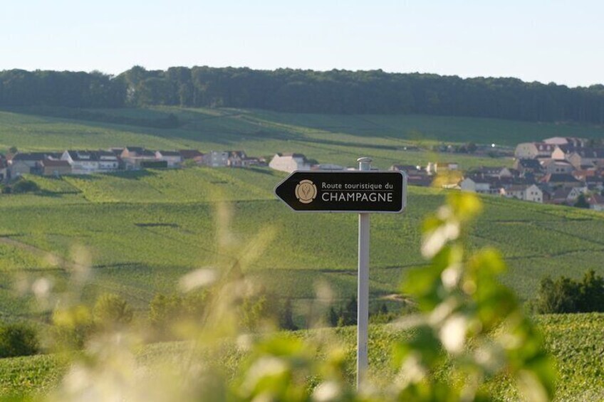 Gold Champagne Experience from Epernay (Private tour)