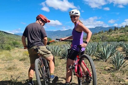 Tour en bicicleta MTB: Trails locales de Monte Albán y Atzompa