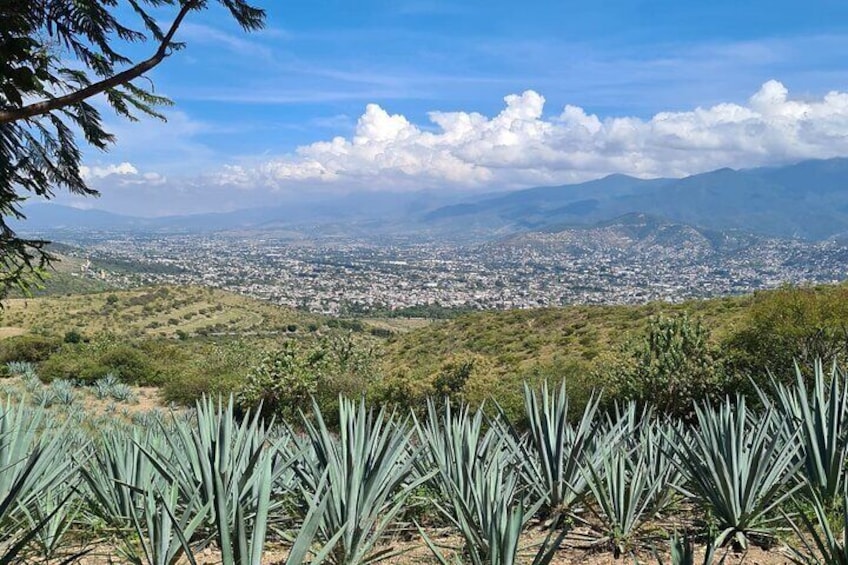 MTB bike ride through Oaxaca´s ancient local trails. (4hrs)