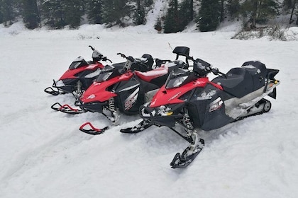 Transylvania, Dracula's Castle & Fun with the Snowmobile or ATV tour in one...