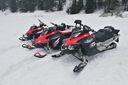 Transylvania, Dracula's Castle & Fun with the Snowmobile or quad bike tour ...