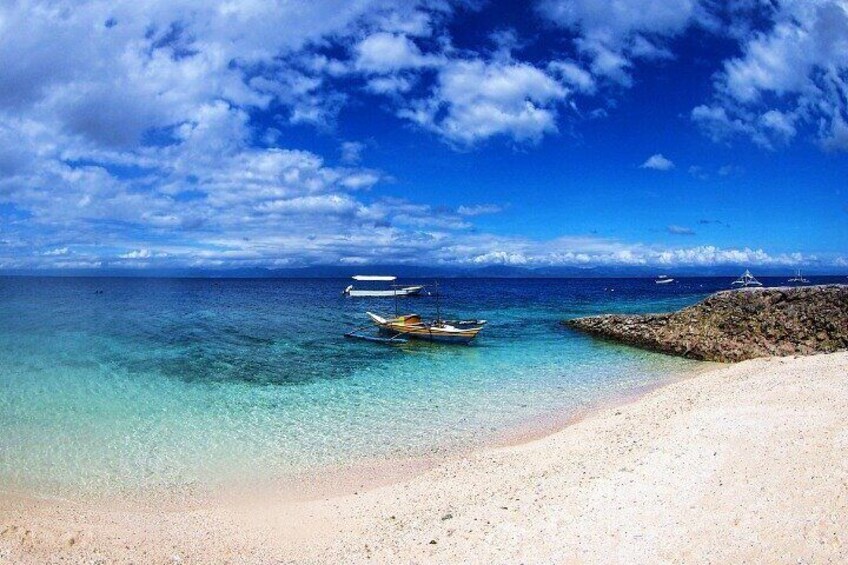 Moalboal Sardines Run Private Tour