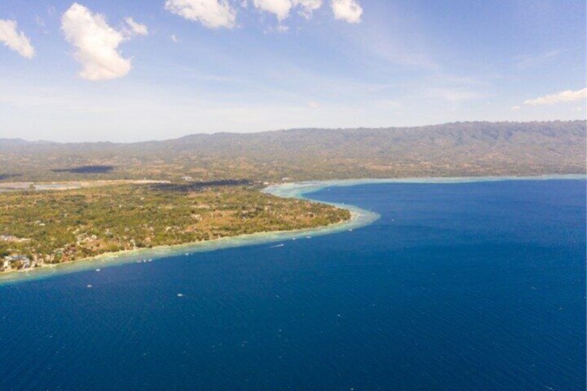 Moalboal Sardines Run Private Tour