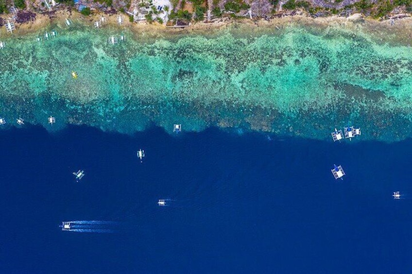 Moalboal Sardines Run Private Tour