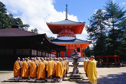 Koyasan: Mt. Koya Geführte private Wandertagestour