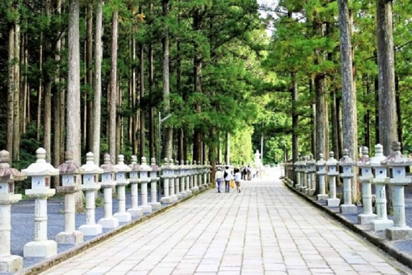 Picture 3 for Activity Koyasan: Mt. Koya Guided Private Walking Day Tour