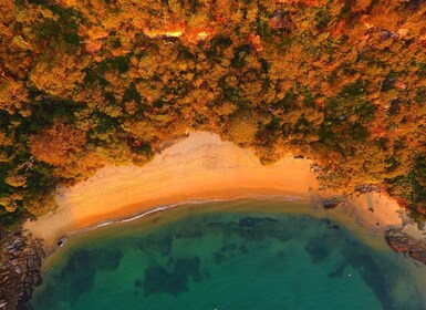 Sydney: BYO-Picknick im Paradies für 2