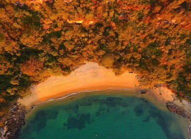 Sydney : Pique-nique BYO au paradis pour 2