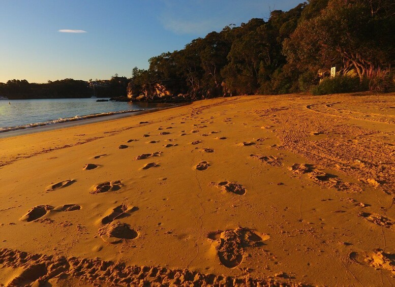 Picture 2 for Activity Sydney: BYO Picnic in Paradise for 2