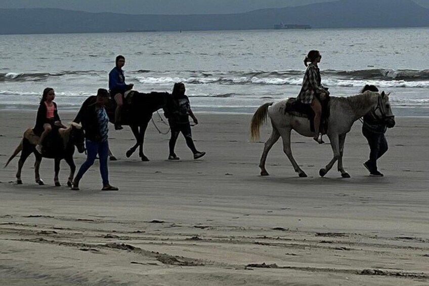 Ensenada City Tour on Ford T Replica and Beach Horse Back Riding 