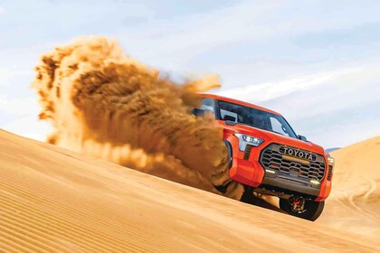 Dubai: Desert Safari med BBQ-middag och alternativ för fyrhjuling