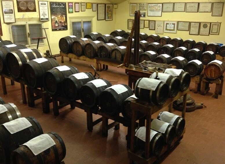 Picture 1 for Activity Modena: Balsamic Lunch with Vinegar Cellar Tour and Tasting