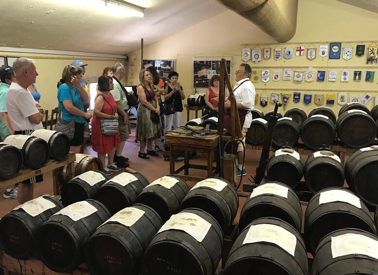 Picture 5 for Activity Modena: Balsamic Lunch with Vinegar Cellar Tour and Tasting