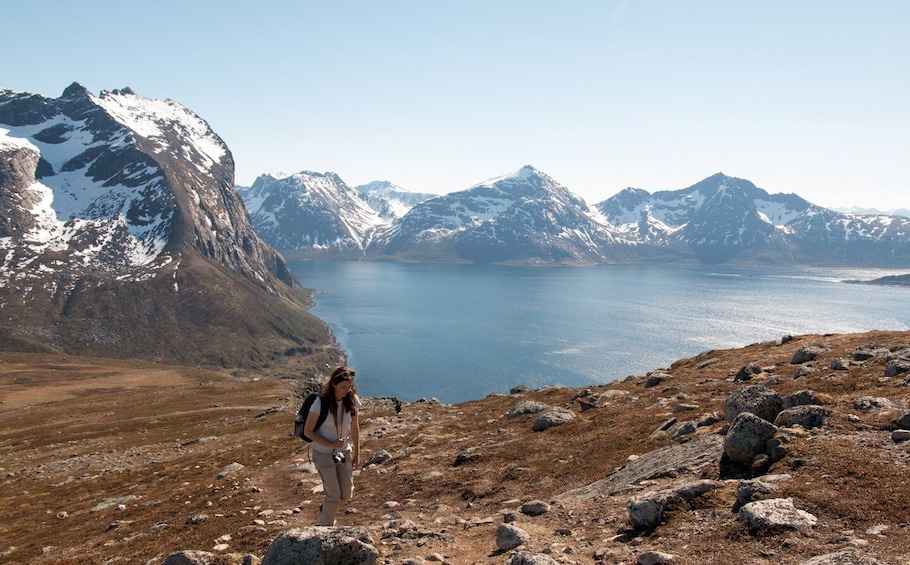 Picture 4 for Activity From Tromsø: Small Group Hiking Tour to Brosmetinden