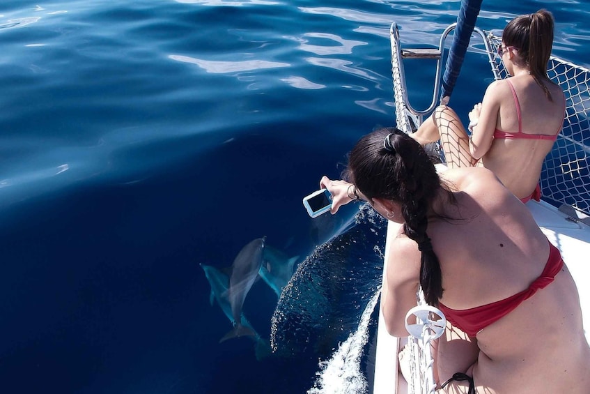Picture 4 for Activity Tenerife: 3-Hour Private Yacht with Whale & Dolphin Watching