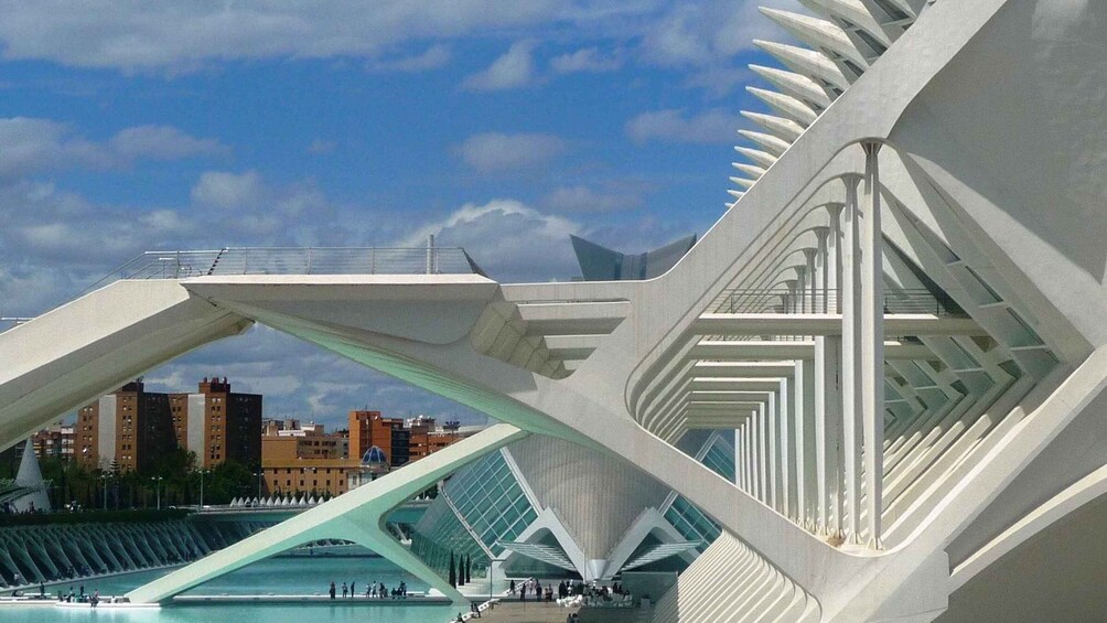 Highlights of Valencia: Private Half-Day Tour