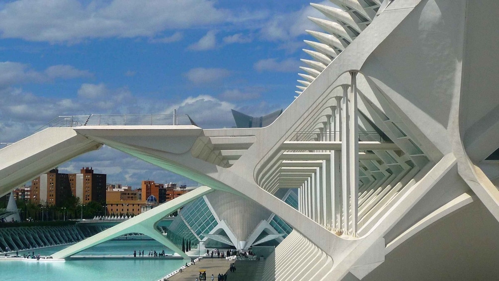 Highlights of Valencia: Private Half-Day Tour