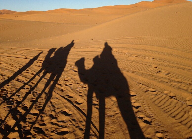 Picture 8 for Activity From Agadir 3-Day Sahara Desert Tours Erg Chegaga