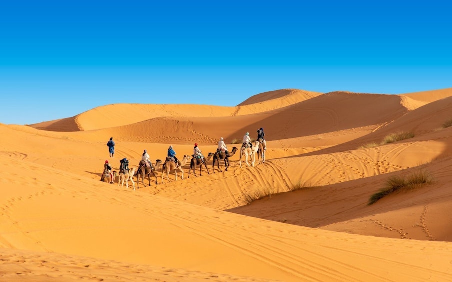 Picture 12 for Activity From Agadir 3-Day Sahara Desert Tours Erg Chegaga