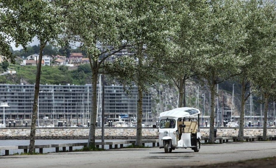 Picture 6 for Activity Porto: Private Sightseeing Tour by Electric Tuk Tuk