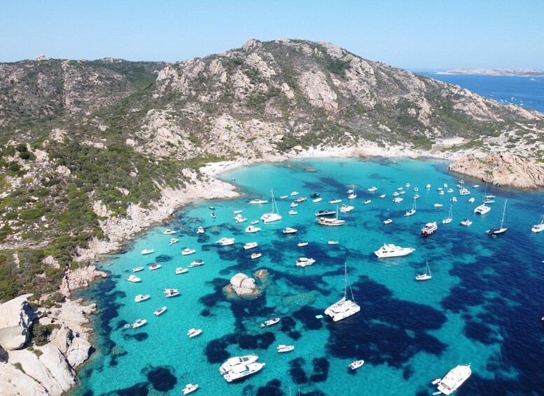 Picture 8 for Activity Palau: La Maddalena Archipelago Comfort Boat Tour with Stops