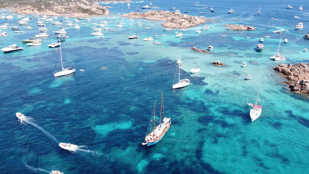 Picture 70 for Activity Palau: La Maddalena Archipelago Comfort Boat Tour with Stops