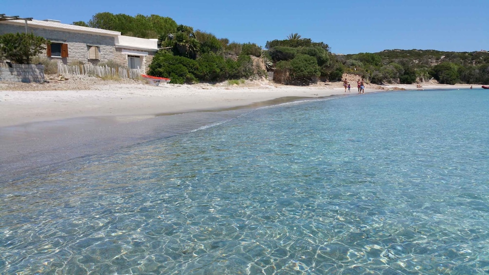 Picture 10 for Activity Palau: La Maddalena Archipelago Comfort Boat Tour with Stops