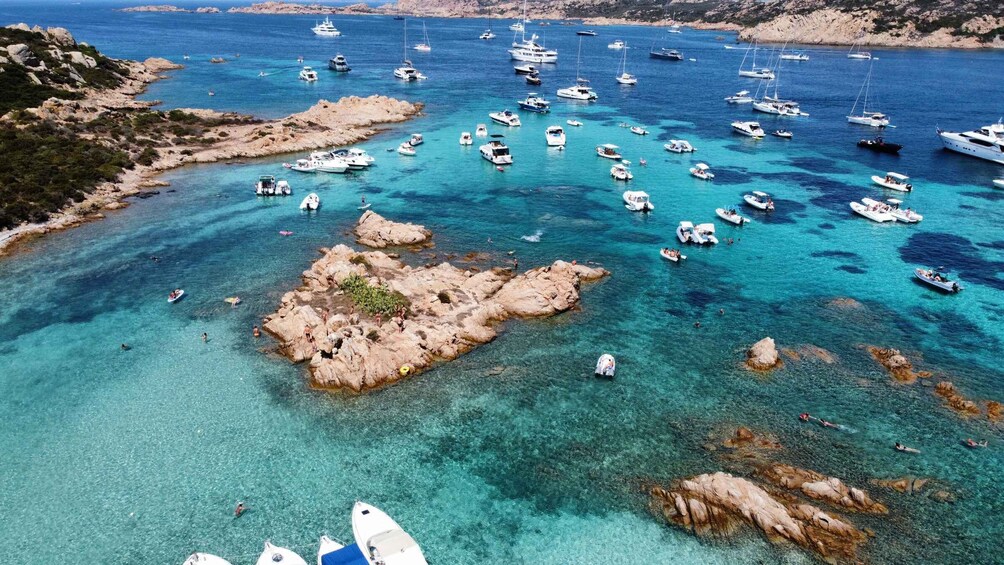 Picture 54 for Activity Palau: La Maddalena Archipelago Comfort Boat Tour with Stops