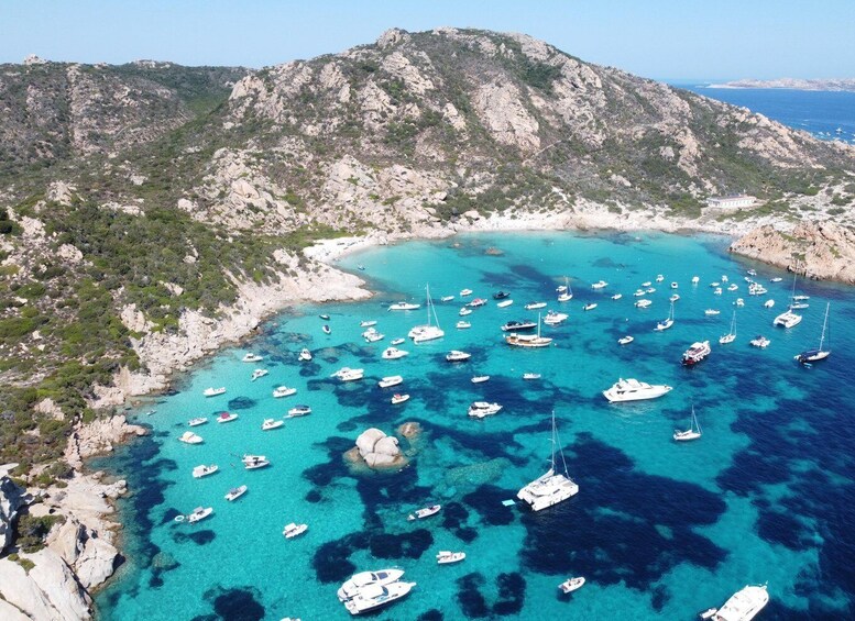 Picture 8 for Activity Palau: La Maddalena Archipelago Comfort Boat Tour with Stops