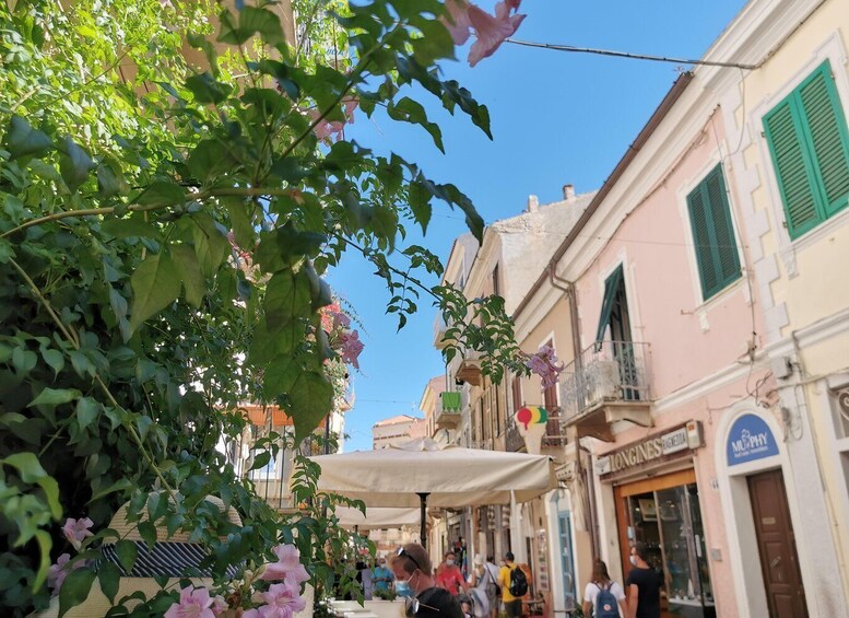 Picture 63 for Activity Palau: La Maddalena Archipelago Comfort Boat Tour with Stops
