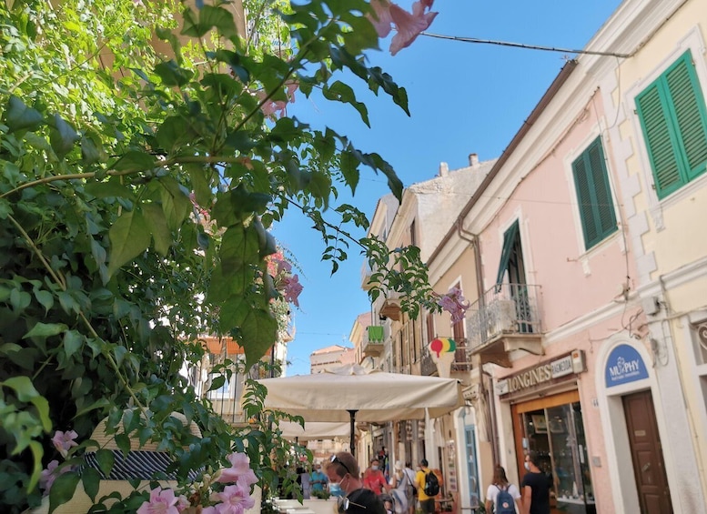 Picture 63 for Activity Palau: La Maddalena Archipelago Comfort Boat Tour with Stops