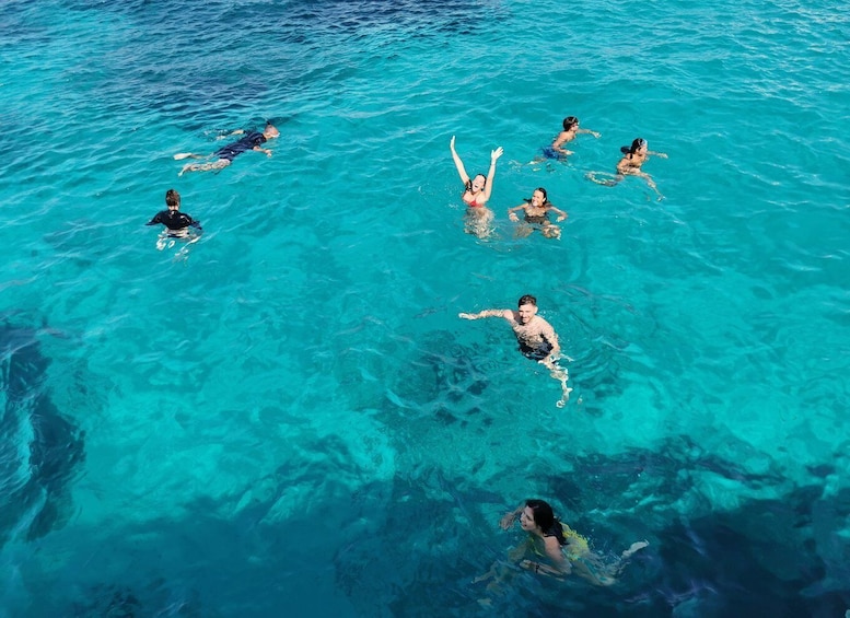 Picture 42 for Activity Palau: La Maddalena Archipelago Comfort Boat Tour with Stops