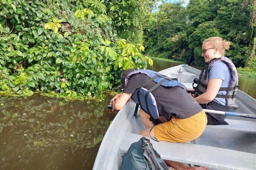 Canoeing experience in channels of Tortuguero National Park