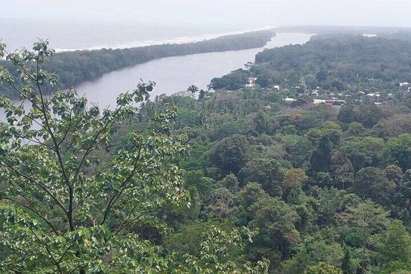 Canoeing experience in channels of Tortuguero National Park