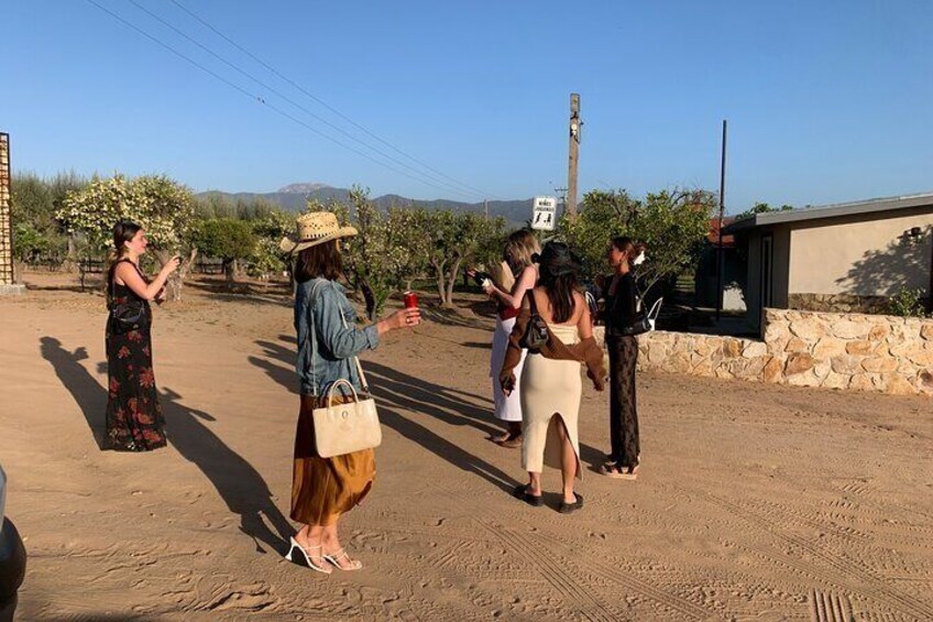 Overnight wine tasting tour at Valle de Guadalupe Ensenada