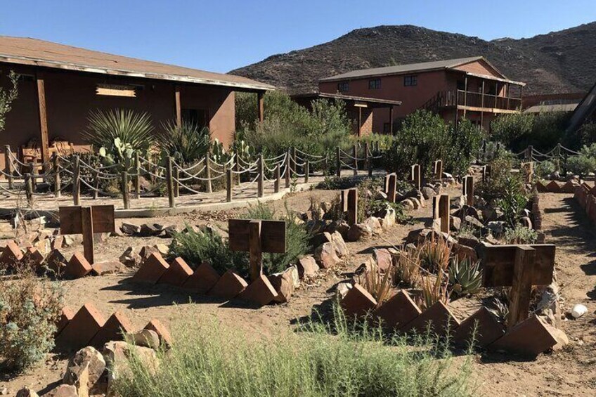 Overnight in Valle de Guadalupe with premium wine and lunch.