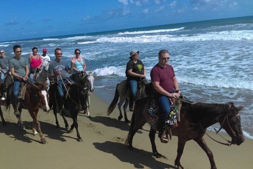 Horseback riding tours on the beach and in the mountains