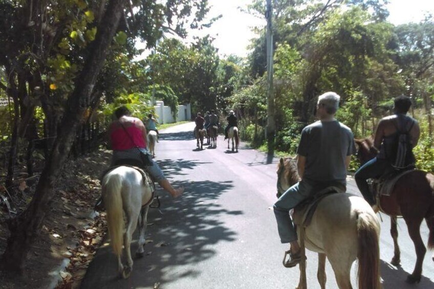 Horseback Riding Tour in the Dominican Republic