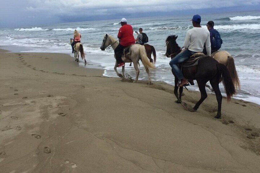 Horseback Riding Tour in the Dominican Republic
