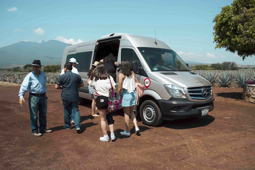 Picture 4 for Activity From Guadalajara: Pyramids & Jose Cuervo Tequila Tour