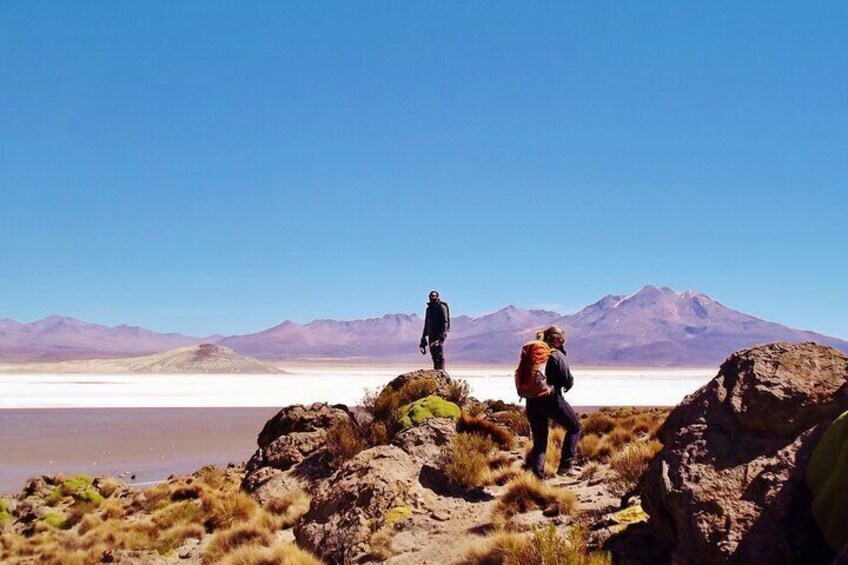 Trekking in Salar de Surire