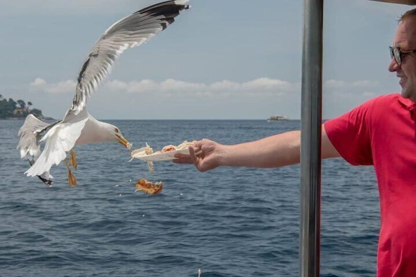 Feeding seagulls